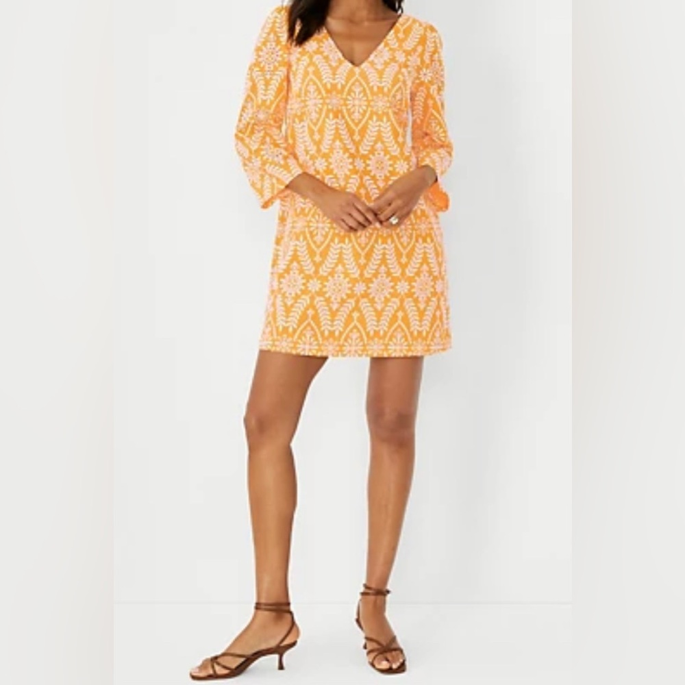 Ann Taylor Shift Dress